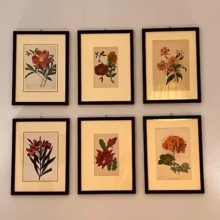 Le Farfalle Специя