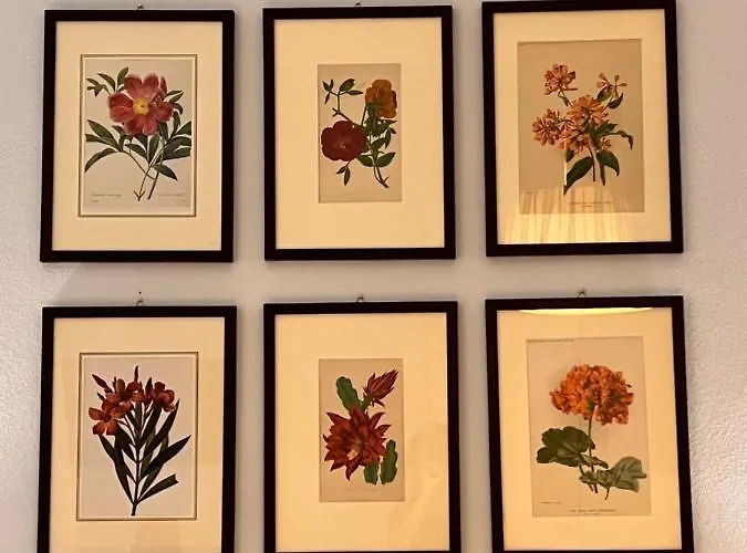 Le Farfalle Специя